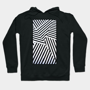 Zebra stripes Hoodie